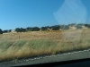 imag0017