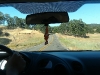 imag0018