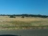 imag0020